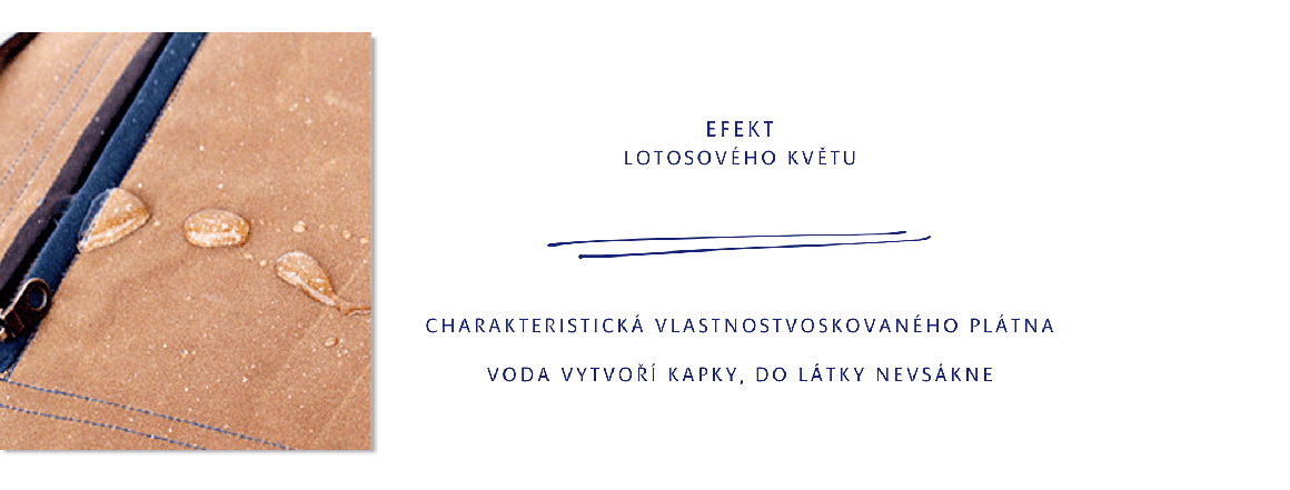 EFEKT LOTOS K